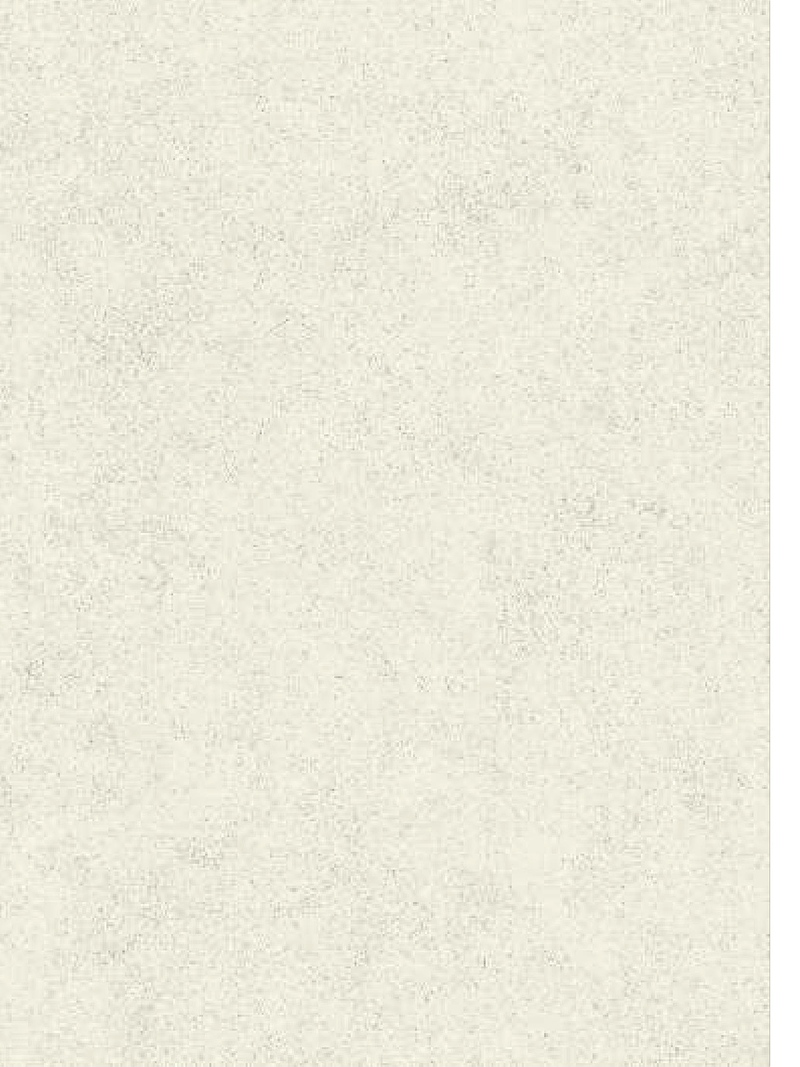 Tranta Stone Texture