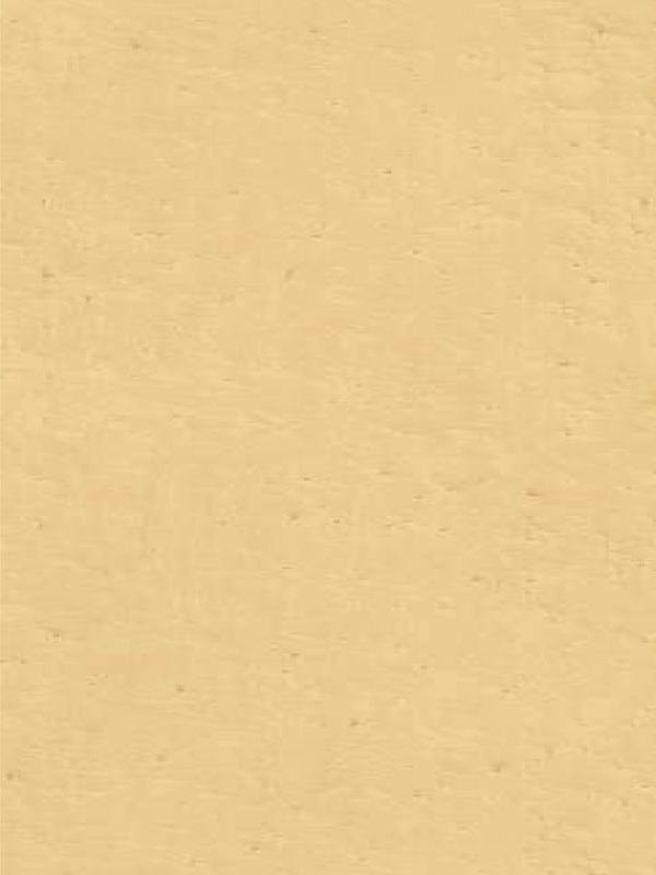 Cloudy Sandalwood Beige