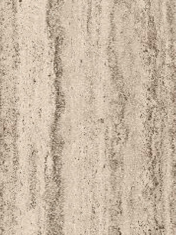 Roman Travertine White