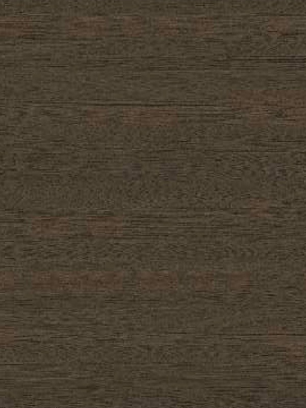 Shadow Stone Elm Coffee